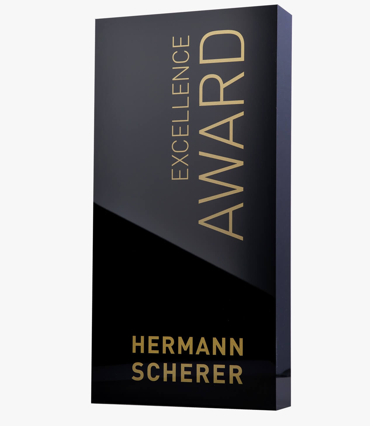 Excellence Awar von Hermann Scherer
